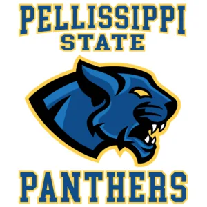 imgi_187_Pellissippi-State-College-Lyric-Blair-G-Basketball-900-x-900-px-300x300